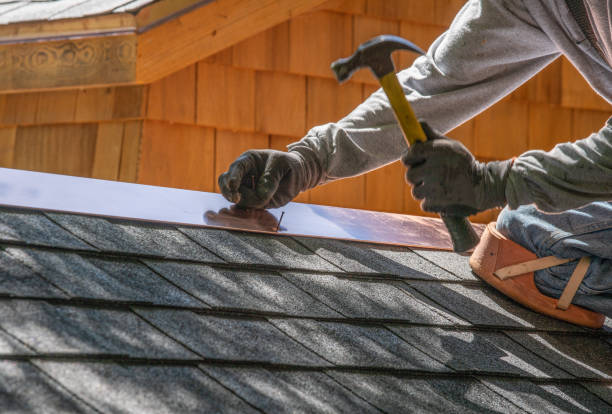 Best Roof Insulation Installation  in Blountville, TN