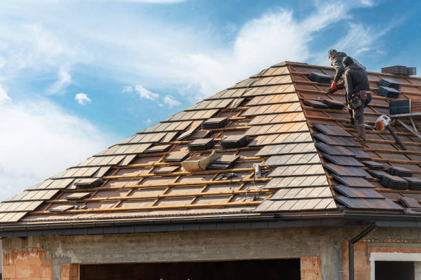 Best Cold Roofs  in Blountville, TN