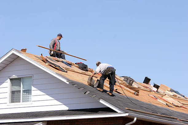 Best Roof Ventilation Installation  in Blountville, TN